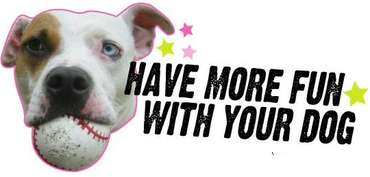 Have more fun with your dog